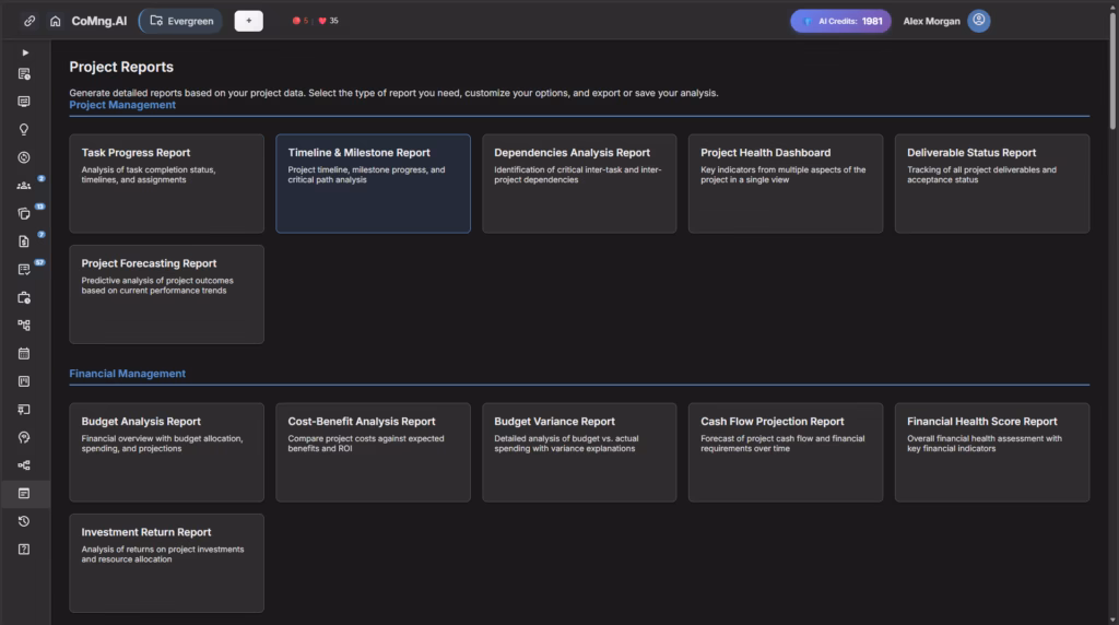 automated project report generation
